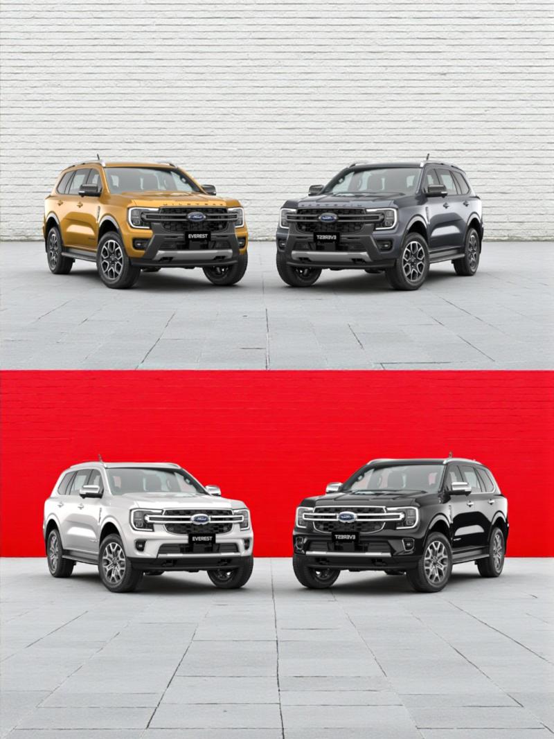 Ford Everest Tiatanium / Wildtrak